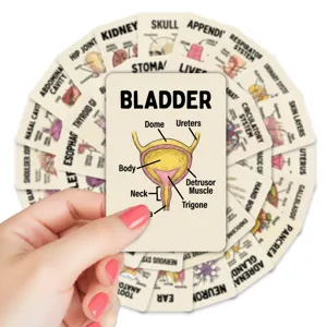 Educational human anatomy flashcards set, 36 cute organ and cell learning cards for kids.