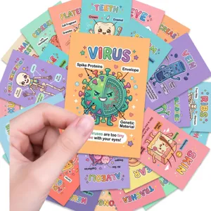 Cute human anatomy educational flashcards set, science learning cards for kids and students.