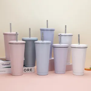 Set of double-wall stainless steel insulated tumblers with straws in pastel colors for coffee