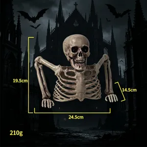 Realistisches Menschliches Skelett Halbkörper Requisite Halloween Simulation Knochen Party Dekoration Horror Ornament