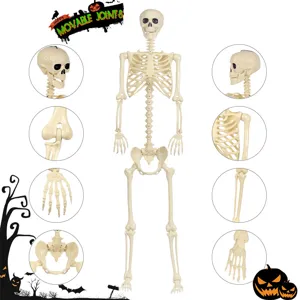 Halloween 180cm bewegliches Gelenk Skelett Requisite, gruselige Spukhaus Dekoration.