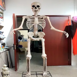 Grand Squelette Halloween 2,5m Accessoire Grandeur Nature Animé Son Os Articulés Déco