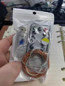 LED copper wire string light accessories with remote control and USB connector for Halloween decor