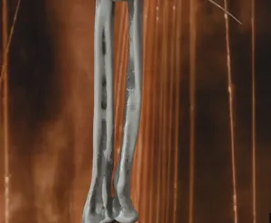 Halloween Simulations Skelett Arm Requisite, realistisches Knochen Design für gruselige Party Decke.