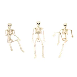 Halloween 40cm Bewegliches Skelett Requisite Verstellbares Menschliches Skelett Modell