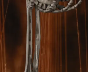 Halloween realistisches Skelett Requisiten Detail mit Knochenstruktur für gruselige Party