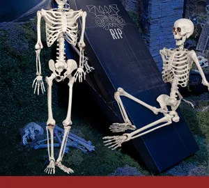 Detaillierte Ansicht lebensgroßer Halloween-Skelett-Requisiten mit Sargkulisse für gruselige Deko.