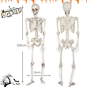 2M Lebensgroße Halloween Skelett Requisite Realistische Menschenknochen Deko für Party