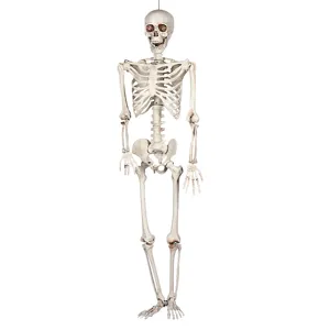 Halloween 2M Ganzkoerper menschliches Skelett Requisite gruselige Dekoration Halloween Deko