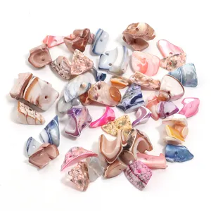 Natural shell drilled beads colorful DIY wind chime accessories crafting jewelry making parts