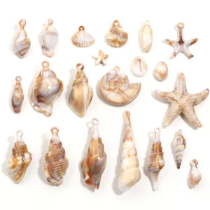 Pendentifs coquillage conque étoile de mer en acrylique style océan breloques bijoux DIY collier
