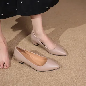 Stylish pointed toe block heel pumps for women, elegant daily casual footwear choice.