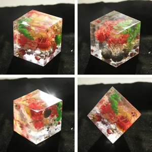 Dettaglio di un cubo in resina trasparente con bellissimi fiori secchi e campioni botanici colorati.