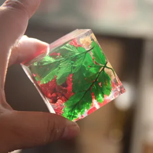 Dettaglio di cubo in resina trasparente con foglie verdi e bacche rosse incorporate all'interno.