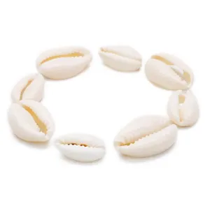 Natural white cowrie shell beads for DIY jewelry making bracelet anklet necklace