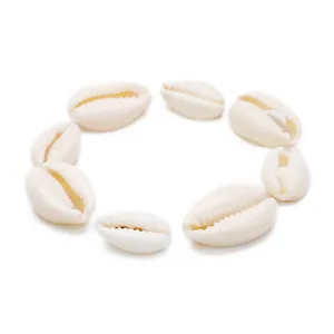 Natural white cowrie shell beads charms for DIY handmade bracelets necklaces juelement making.