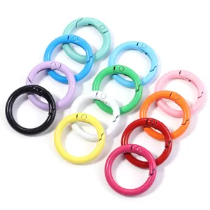 Detail view of colorful metal spring O-rings, durable zinc alloy keychain clips, compact size.