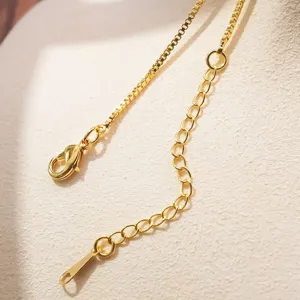 Gouden roestvrijstalen doosketting ketting detailweergave met verlengketting en karabijnhaak.