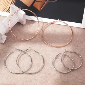 Gedetailleerd overzicht van klassieke ronde creolen in zilver en roségoud, stijlvolle sieraden.