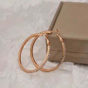 Elegante roségoudene oorbellen met strass en klassiek groefontwerp voor modieuze vrouwen.
