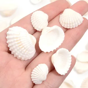 Dettaglio di ciondoli in conchiglia bianca naturale per la creazione di gioielli fai da te.