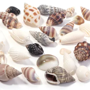 Miscela di perle di conchiglie naturali per gioielli fatti a mano e accessori fai da te.