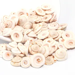 Ciondoli in conchiglia naturale fai da te per gioielli artigianali perline a spirale bianca