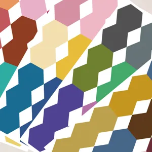 Colorful hexagonal index tabs for book page markers, student study notes, and school stationery.