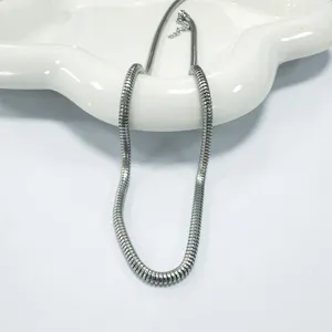 Roestvrijstalen dikke slangenketting ketting, minimalistische titaanstaal sleutelbeinketting voor dames.