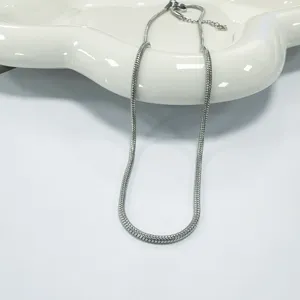 Detail van zilveren roestvrijstalen ronde slangketting halsketting, minimalistische stijl dagelijks.