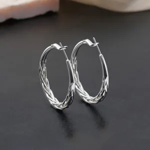 Gedetailleerd overzicht van stijlvolle zilveren gedraaide oorbellen, elegant gevlochten design.