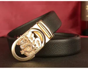 Men leather belt detail, gold dragon automatic buckle, top cowhide leather for casual jeans fashion.