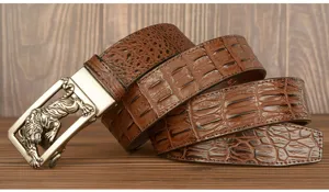 Cintura uomo in pelle marrone stampa coccodrillo con fibbia automatica in metallo tigre accessorio.