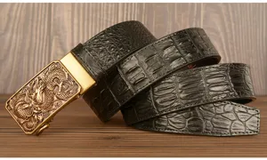 Detail view of mens leather belt with dragon automatic buckle and black crocodile pattern.
