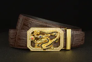 Detailed close-up of luxurious men leather belt with golden rhinestone encrusted dragon buckle.
