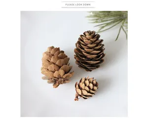 Natural pine cones set, assorted sizes for Christmas tree decor, rustic DIY floral craft display.