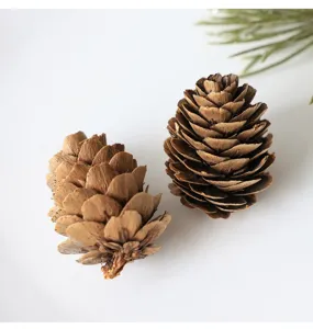 Natural pine cones close up detail, rustic Christmas tree decoration, brown dried pinecones.