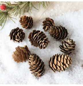 Natural pine cones for Christmas tree decoration, rustic holiday ornaments DIY craft supplies.