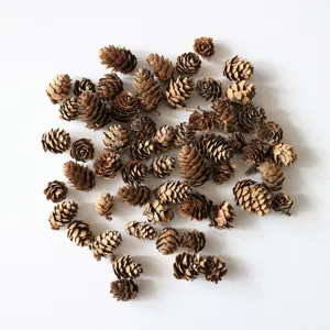 Natural Pine Cones Christmas Tree Decoration Ornaments Dried Pinecones For DIY Holiday Crafts And Home Table Centerpiece Decorations