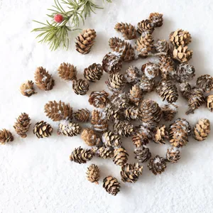 Natural pine cones Christmas tree ornaments rustic holiday home decor DIY craft supplies