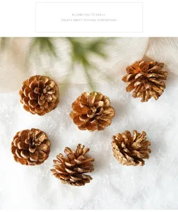 Gold painted pine cones for Christmas tree decoration, rustic natural pinecones for holiday crafts.