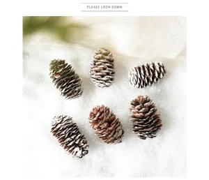 Natural and white painted pine cones detail shot for Christmas tree decoration and crafts display