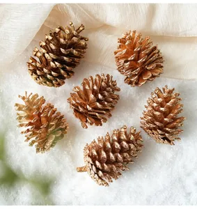 Close up view of six shiny gold pine cones on white snow background for holiday decoration detail.