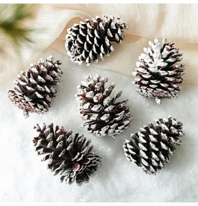 Detailed view of white painted natural pinecones, perfect for Christmas tree holiday decorations.