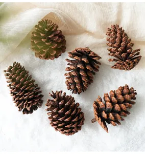Natural pine cones for Christmas tree decoration, rustic dried pine cones photography props.