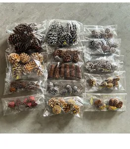 Assorted natural pine cones bulk frosted gold and brown pinecones for Christmas tree decor