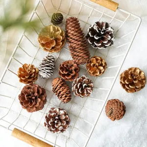 Natural Christmas Pine Cones Decorative Snow Gold Red Pinecone Ornaments For Christmas Tree Wreath Garland DIY Craft Holiday Home Decor
