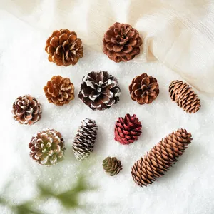 Assorted natural and painted pine cones for Christmas tree decorations and holiday crafts.