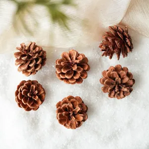 Conos de pino naturales para la decoracion de arbol de navidad y manualidades rusticas.