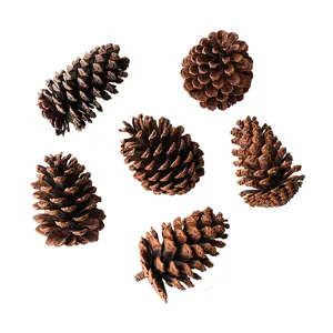 Natural pine cones for Christmas tree decoration, rustic dried pinecones crafts.